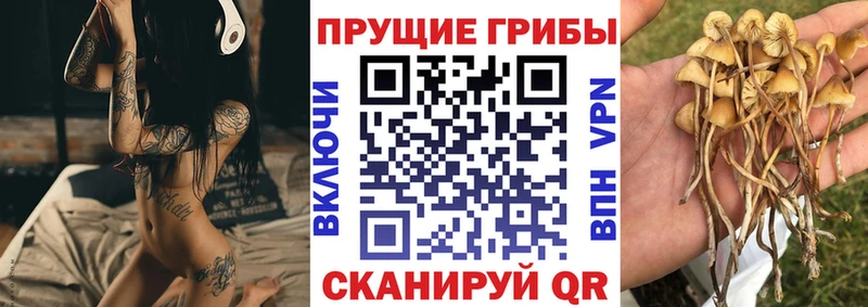 Псилоцибиновые грибы прущие грибы  Купить закладки  Новоуральск 